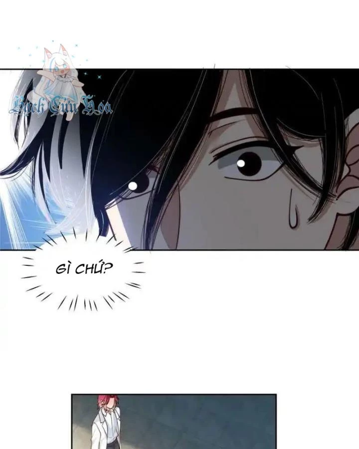 Livestream Phẫu Thuật Chapter 59 - Trang 2