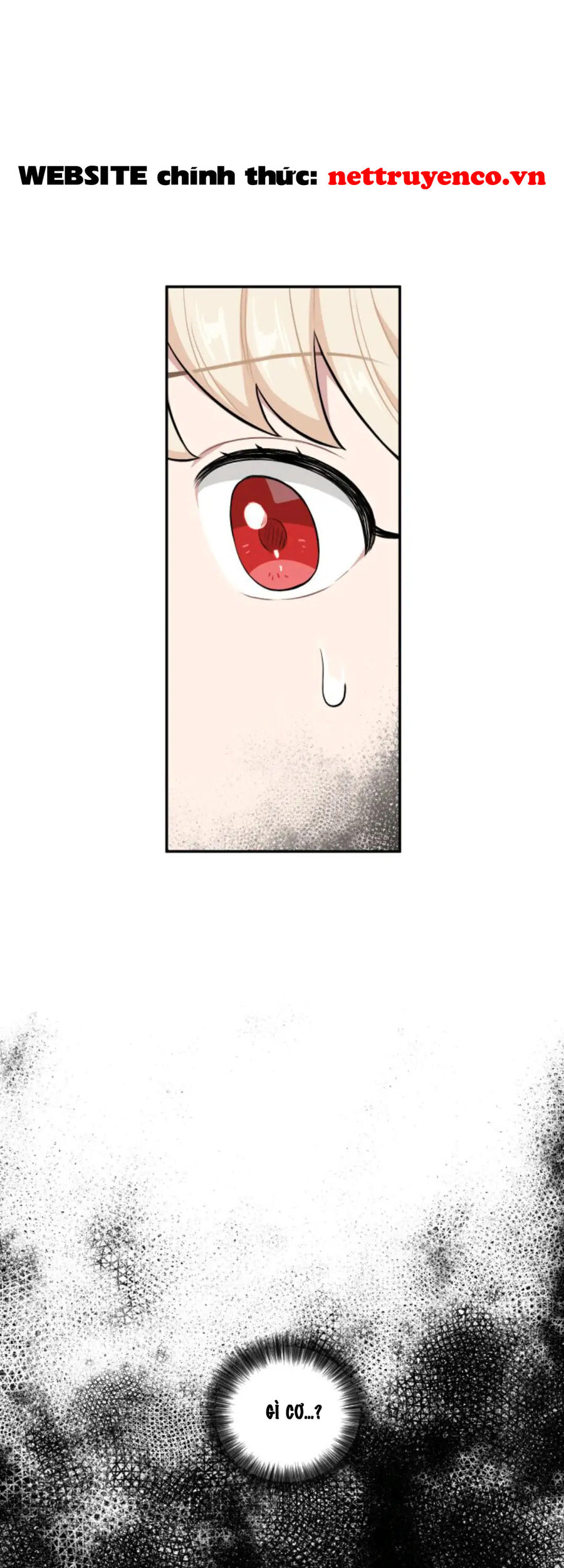 Xuyên Vào Teenfic Làm Thị Nữ Chapter 21 - Trang 2