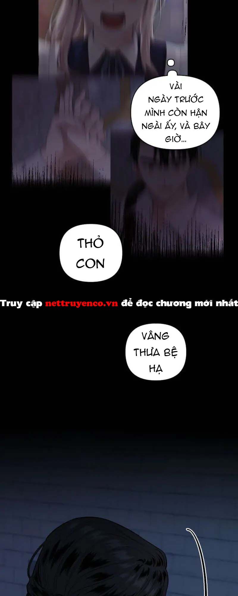 Xuyên Vào Teenfic Làm Thị Nữ Chapter 53 - Trang 2