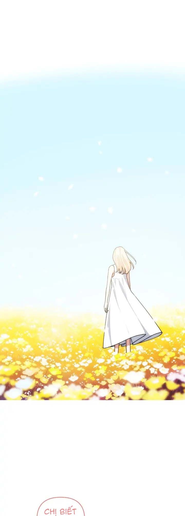 Xuyên Vào Teenfic Làm Thị Nữ Chapter 63 - Trang 2