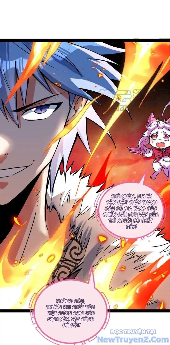 Đánh Bại Chư Thiên Chapter 134 - Trang 2