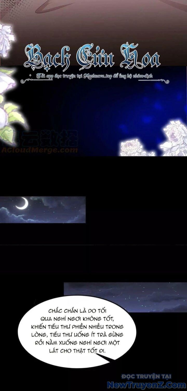 Đánh Bại Chư Thiên Chapter 139 - Trang 2