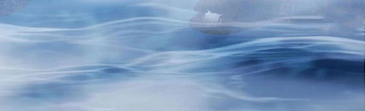 Ta Diệt Sát Chúng Thần Chapter 85 - Trang 2