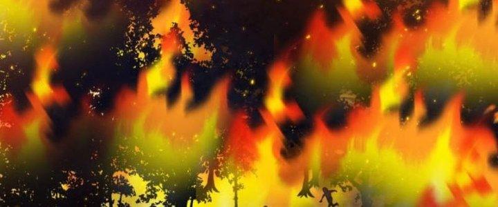 Ta Bị Nhốt Ở Nội Trác Phủ 1000 Năm Chapter 12 - Trang 2