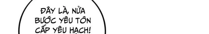 Trọng Sinh 1000 Lần, Ta Vô Địch Chapter 137 - Trang 2