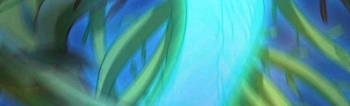 Thần Lan Kỳ Vực Vô Song Châu Chapter 10 - Trang 2