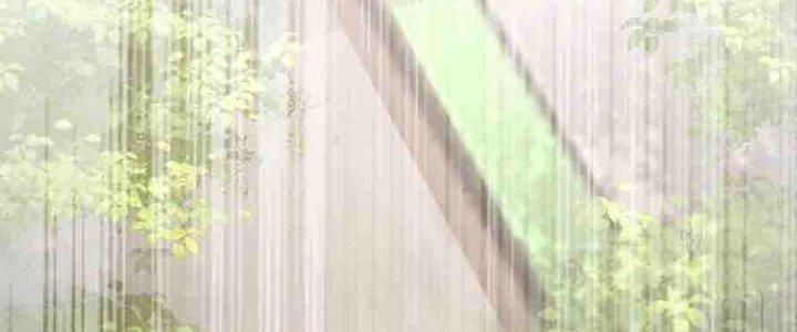 Bỉ Nhân Độc Tìm Đường Chết Chapter 35 - Trang 2