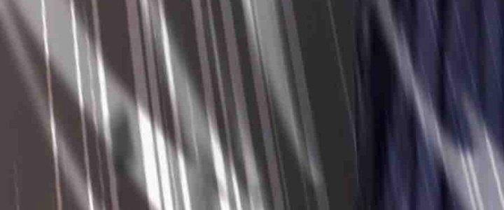 Bỉ Nhân Độc Tìm Đường Chết Chapter 35 - Trang 2