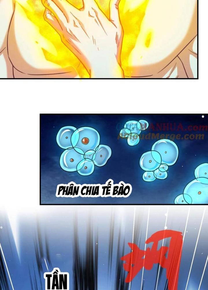 Bỉ Nhân Độc Tìm Đường Chết Chapter 184 - Trang 2