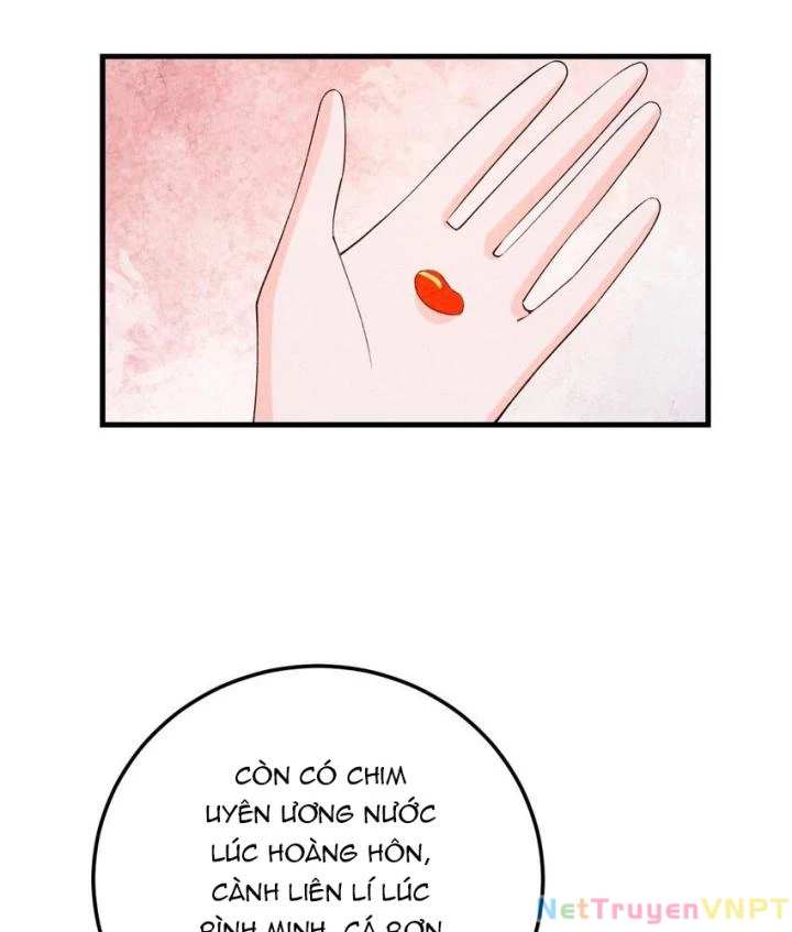 Là Thánh Hoàng Chính Đạo, Ta Cưới Ma Tôn Tà Đạo?! Chapter 100 - Trang 2