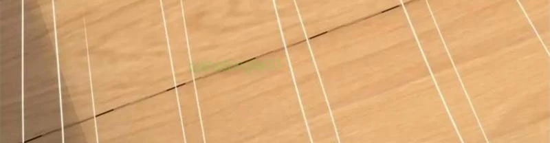 Nữ Đồ Đệ Ai Nấy Đều Muốn Giết Ta Chapter 254 - Trang 2