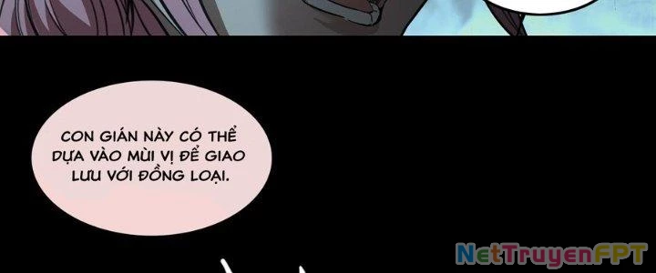 Hắc Dạ Trùng Sinh Chapter 2 - Trang 2