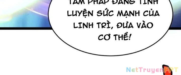 Linh Khí Khôi Phục: Ta Bắt Đầu Có Trảm Thiên Chi Nhãn Chapter 25 - Trang 2