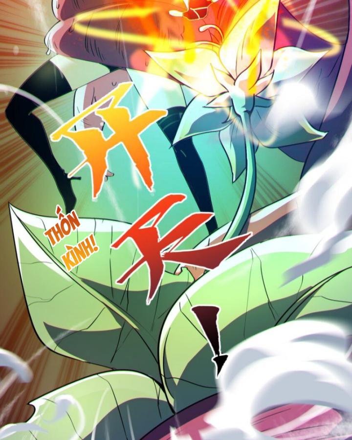 Bất Khả Chiến Bại Ở Mạt Thế: Tôi Là Người Chơi Beta Duy Nhất Chapter 12 - Trang 2