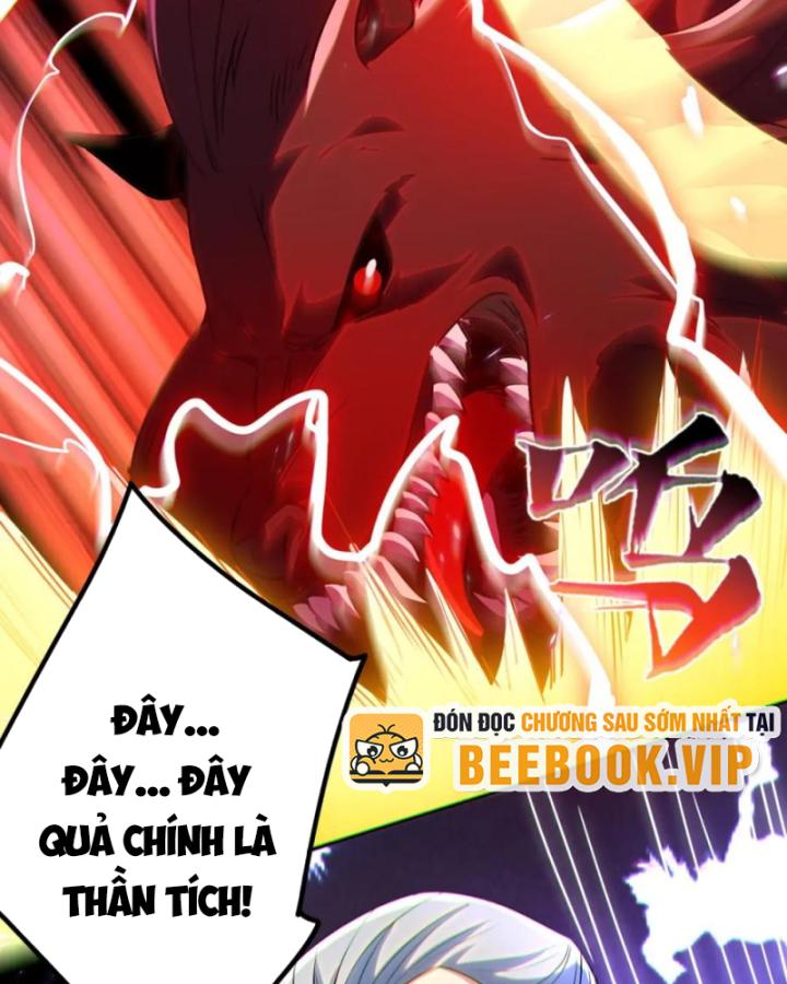 Bất Khả Chiến Bại Ở Mạt Thế: Tôi Là Người Chơi Beta Duy Nhất Chapter 15 - Trang 2
