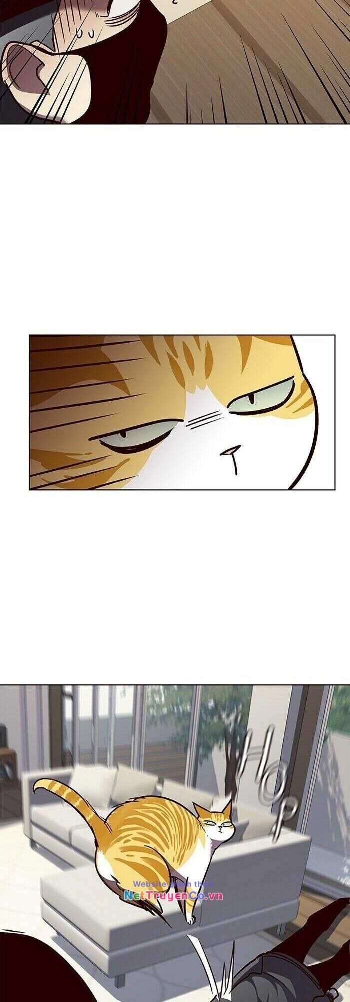 Cô Dâu Của Sói Trắng Chapter 58 - Trang 2