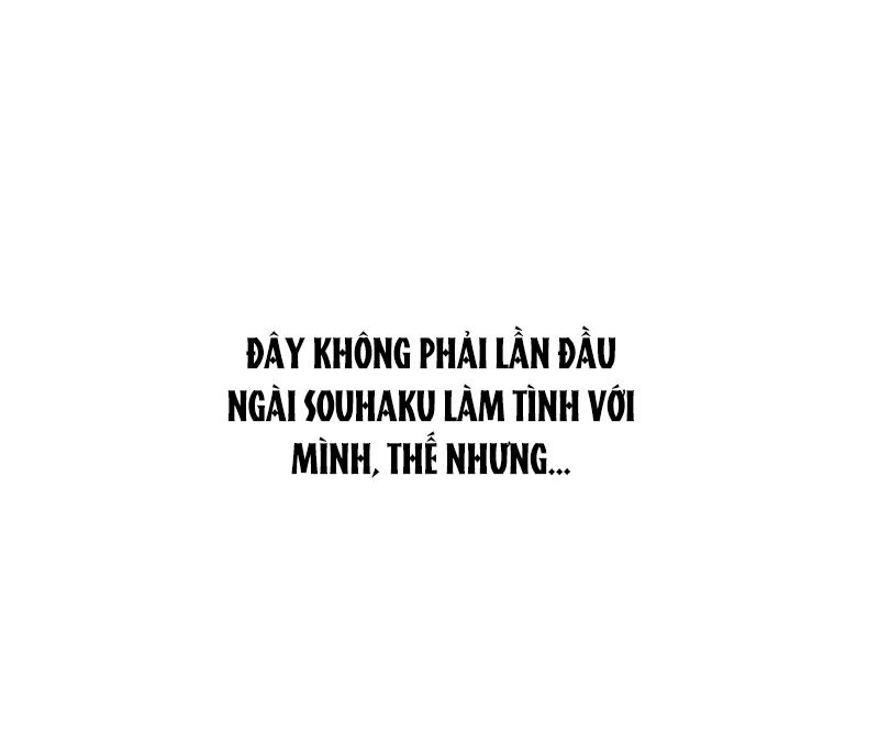 Cô Dâu Của Sói Trắng Chapter 71 - Trang 2