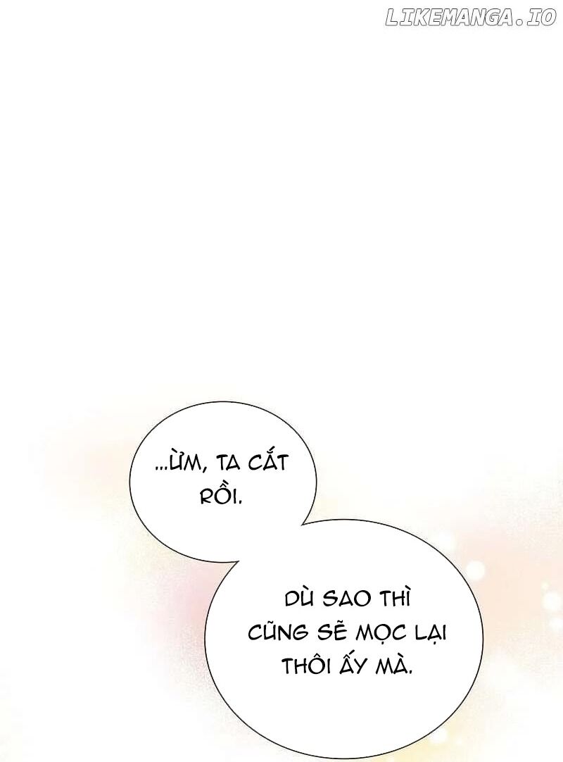 Cô Dâu Của Sói Trắng Chapter 71 - Trang 2