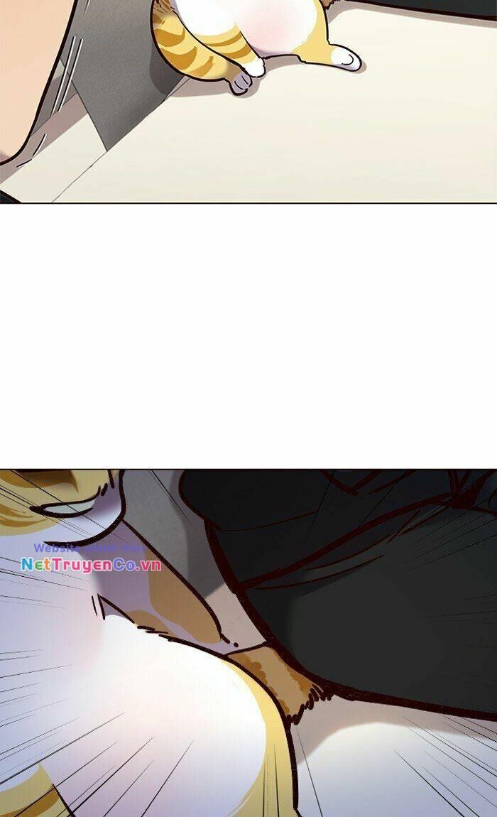 Cô Dâu Của Sói Trắng Chapter 82 - Trang 2