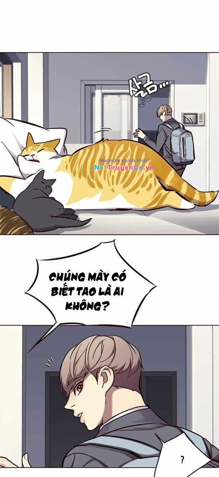 Cô Dâu Của Sói Trắng Chapter 100 - Trang 2