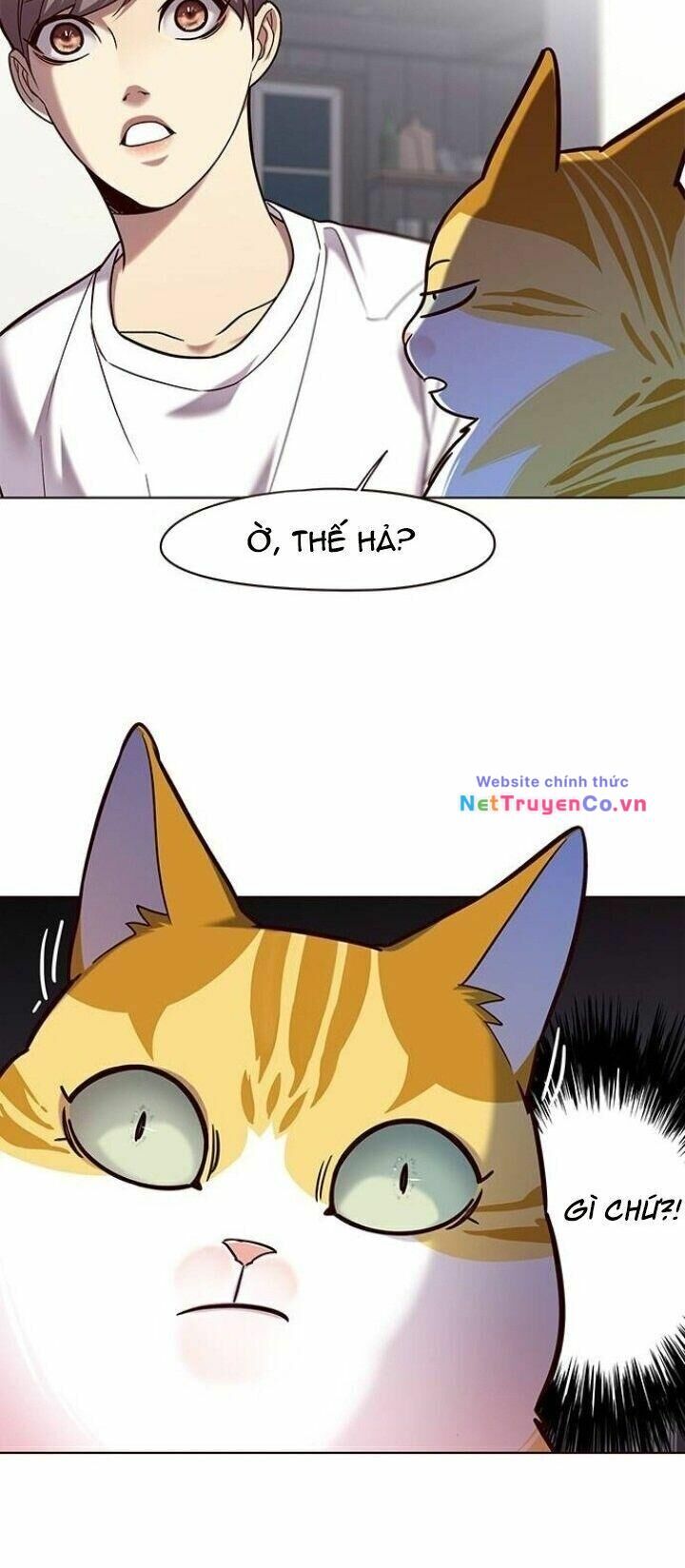 Cô Dâu Của Sói Trắng Chapter 105 - Trang 2