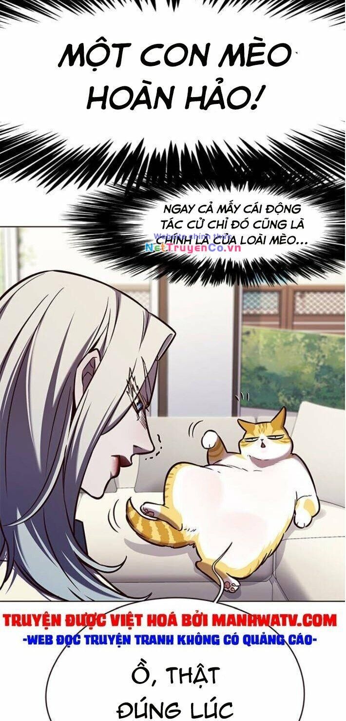 Cô Dâu Của Sói Trắng Chapter 141 - Trang 2