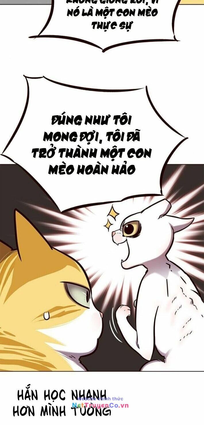 Cô Dâu Của Sói Trắng Chapter 141 - Trang 2