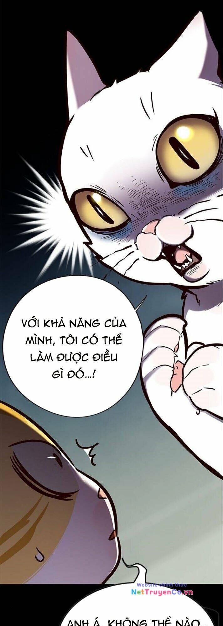 Cô Dâu Của Sói Trắng Chapter 142 - Trang 2