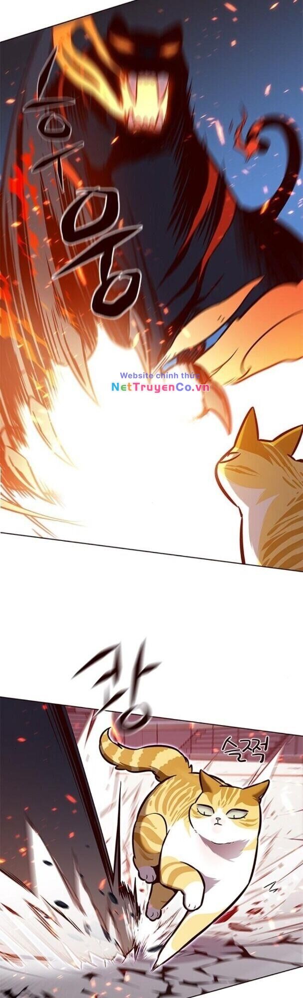Cô Dâu Của Sói Trắng Chapter 163 - Trang 2