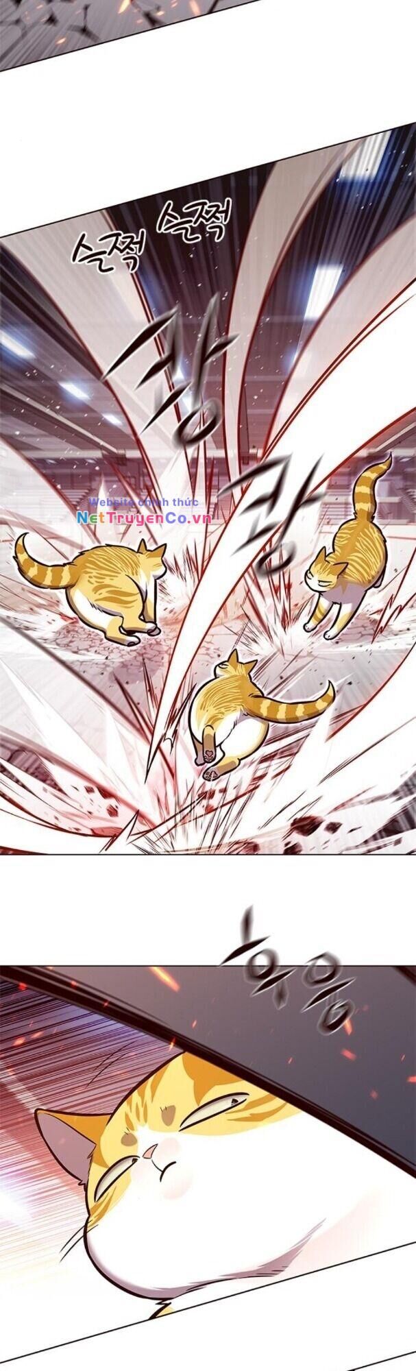 Cô Dâu Của Sói Trắng Chapter 163 - Trang 2
