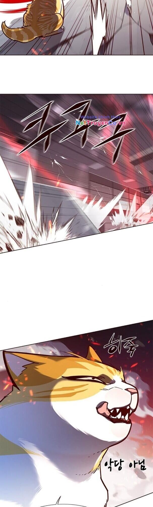 Cô Dâu Của Sói Trắng Chapter 163 - Trang 2