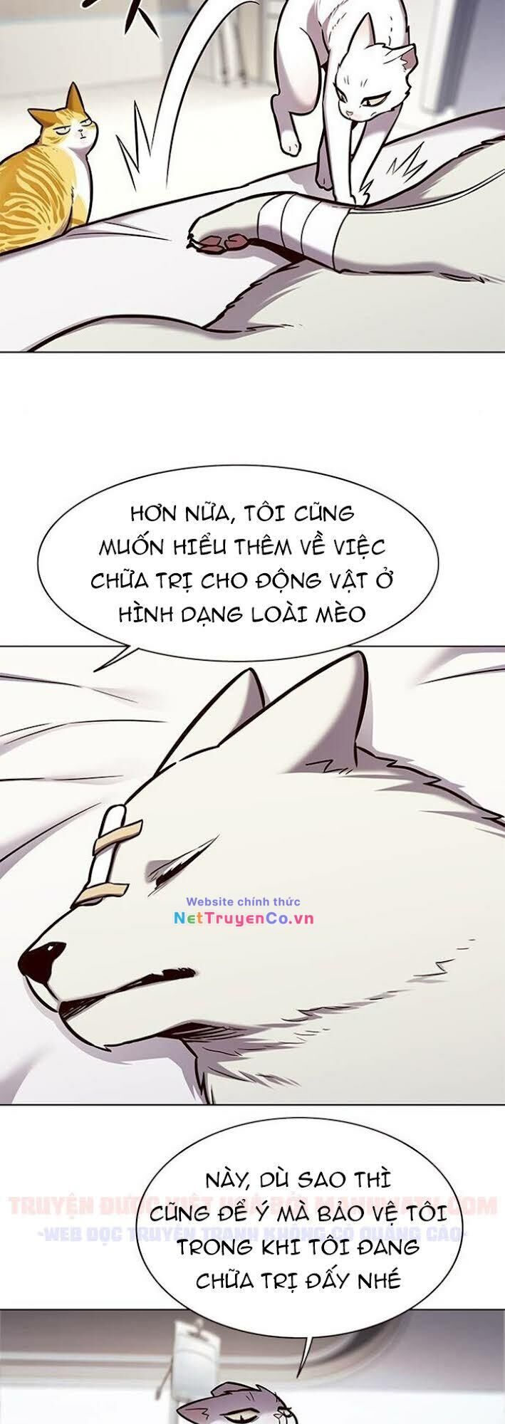 Cô Dâu Của Sói Trắng Chapter 166 - Trang 2