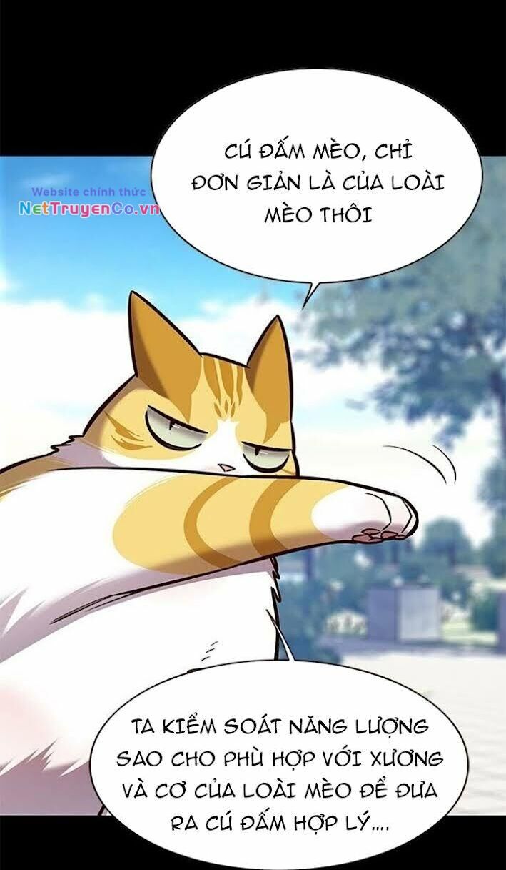 Cô Dâu Của Sói Trắng Chapter 166 - Trang 2