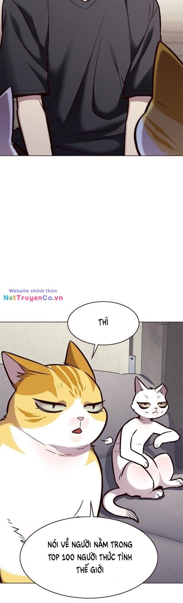 Cô Dâu Của Sói Trắng Chapter 173 - Trang 2