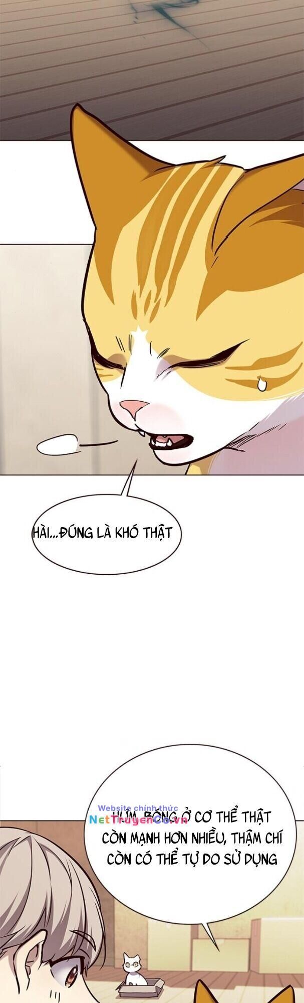Cô Dâu Của Sói Trắng Chapter 174 - Trang 2