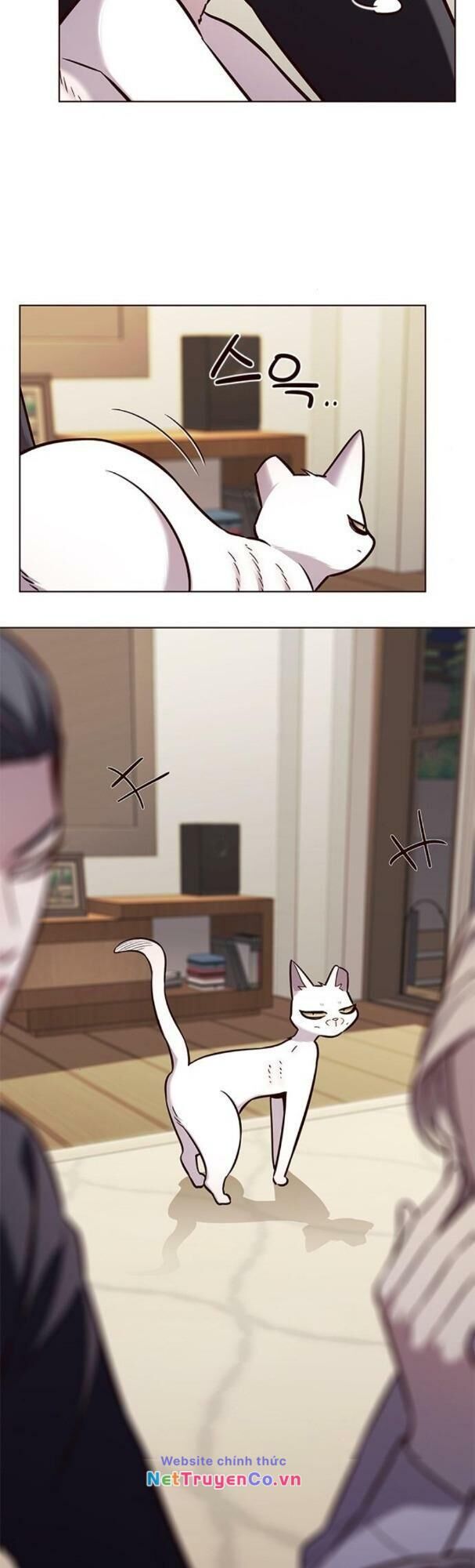Cô Dâu Của Sói Trắng Chapter 178 - Trang 2