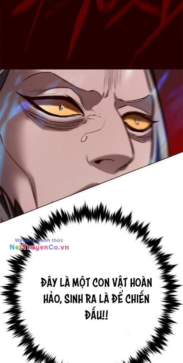 Cô Dâu Của Sói Trắng Chapter 195 - Trang 2