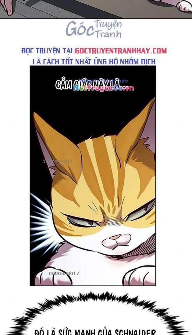 Cô Dâu Của Sói Trắng Chapter 220 - Trang 2