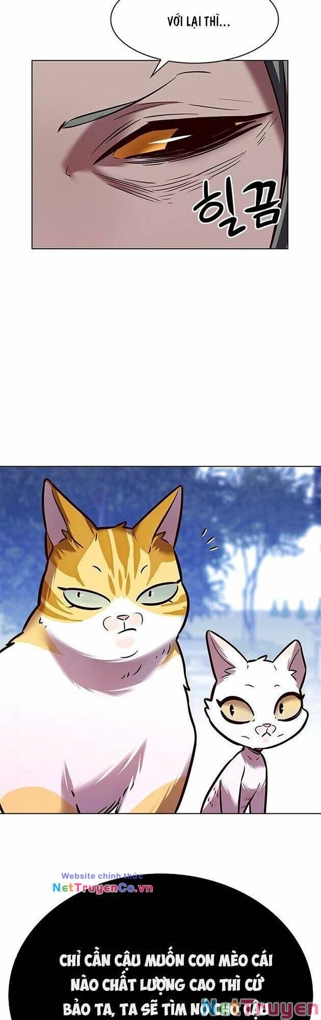 Cô Dâu Của Sói Trắng Chapter 222 - Trang 2
