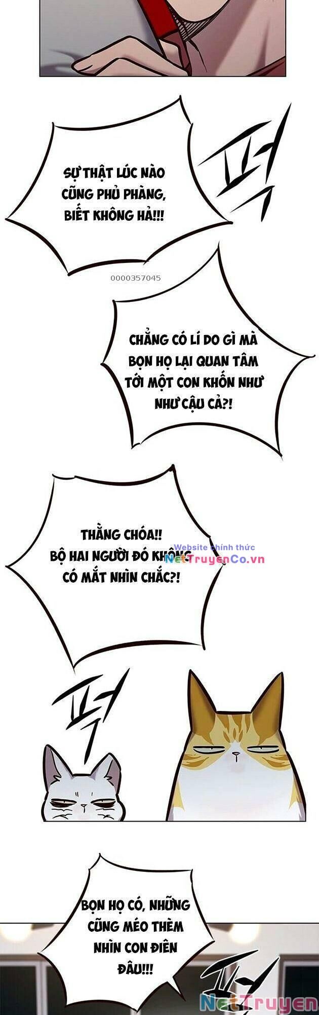 Cô Dâu Của Sói Trắng Chapter 223 - Trang 2