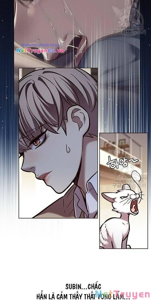 Cô Dâu Của Sói Trắng Chapter 228 - Trang 2