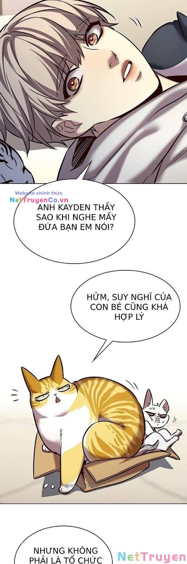 Cô Dâu Của Sói Trắng Chapter 239 - Trang 2