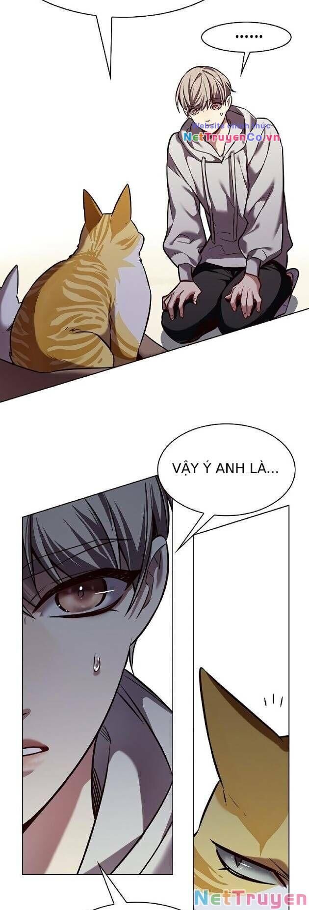 Cô Dâu Của Sói Trắng Chapter 239 - Trang 2