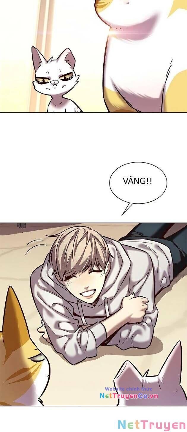 Cô Dâu Của Sói Trắng Chapter 239 - Trang 2