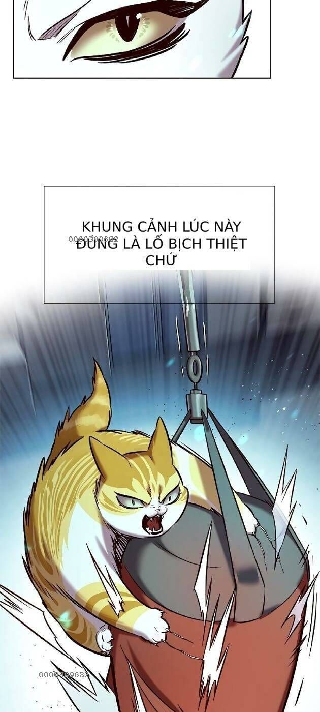 Cô Dâu Của Sói Trắng Chapter 241 - Trang 2