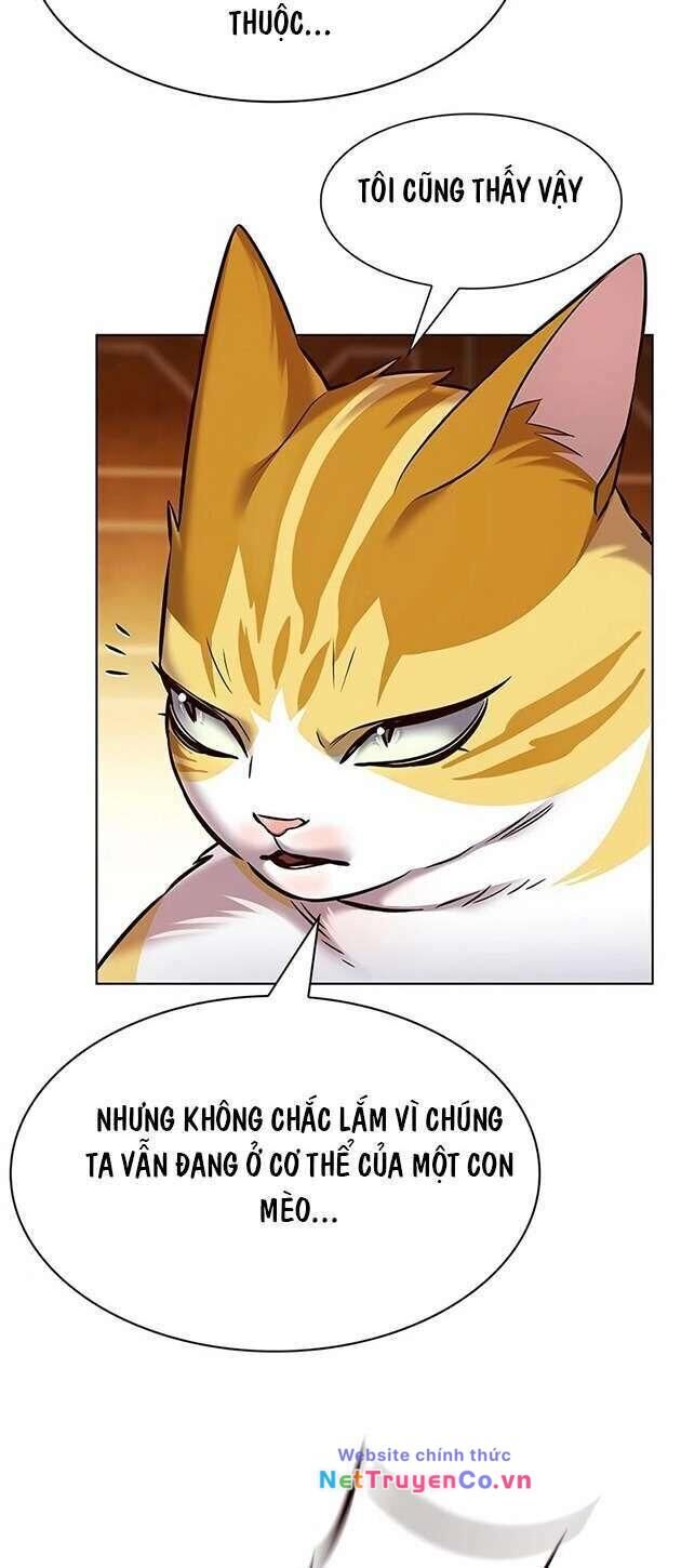 Cô Dâu Của Sói Trắng Chapter 245 - Trang 2