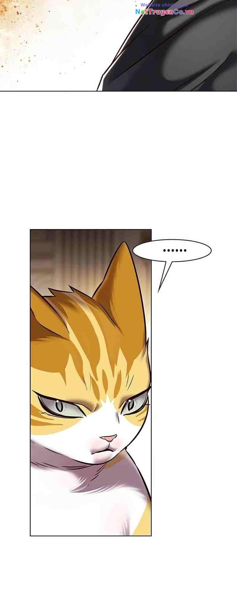 Cô Dâu Của Sói Trắng Chapter 250 - Trang 2