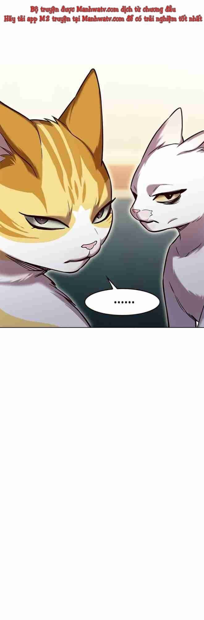 Cô Dâu Của Sói Trắng Chapter 256 - Trang 2
