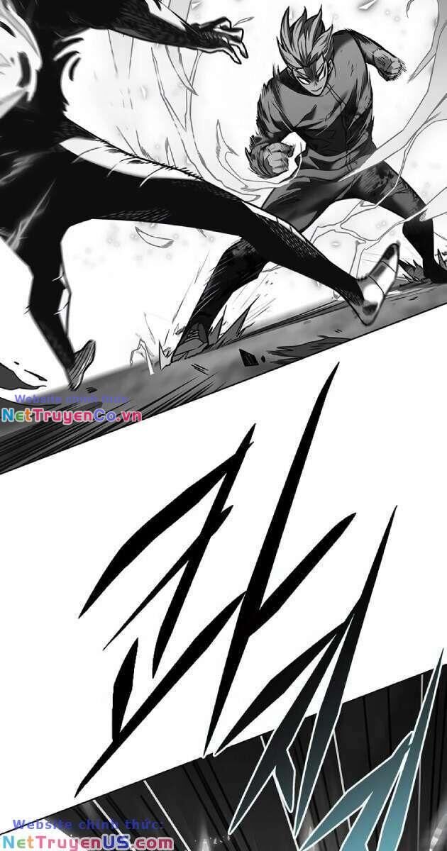 Cô Dâu Của Sói Trắng Chapter 261 - Trang 2