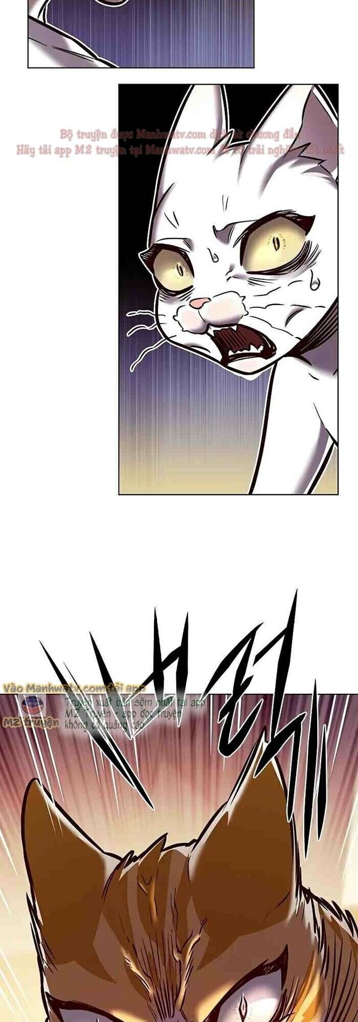 Cô Dâu Của Sói Trắng Chapter 277 - Trang 2